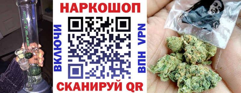 A PVP Камызяк