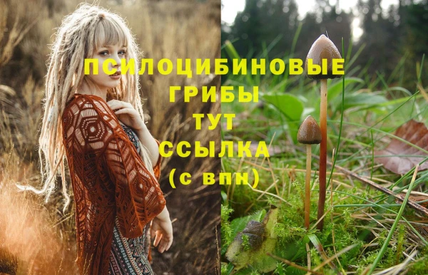 трава Алексин