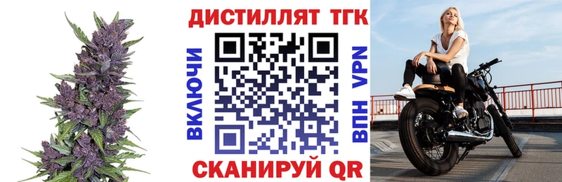 как найти закладки  Камызяк  ТГК Wax 